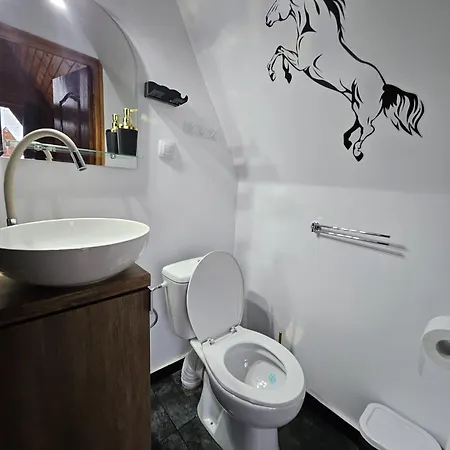 One & Kos 木屋 科斯蒂内什蒂